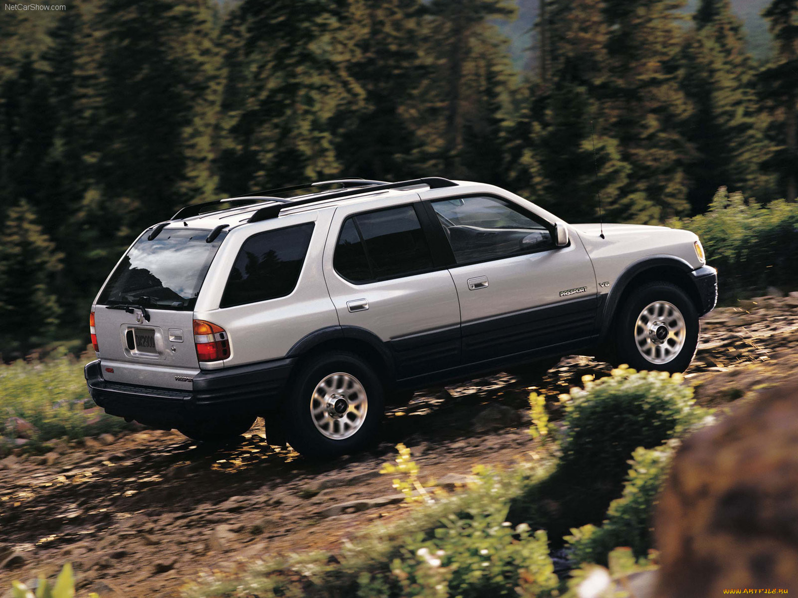 honda, passport, 2000, 